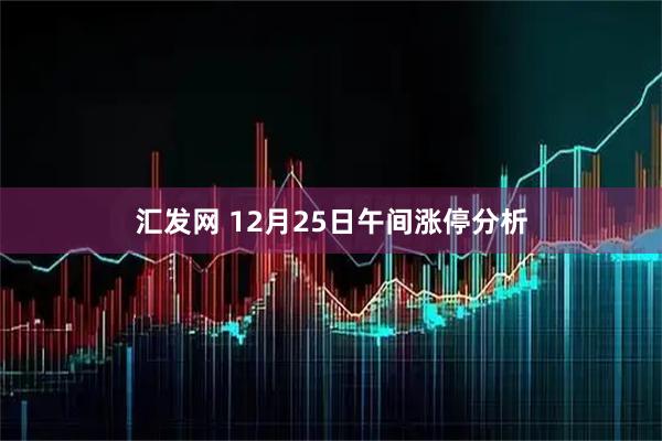 汇发网 12月25日午间涨停分析