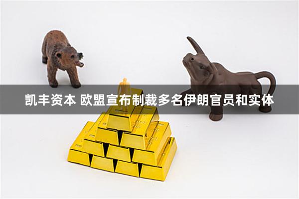凯丰资本 欧盟宣布制裁多名伊朗官员和实体