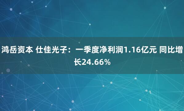 鸿岳资本 仕佳光子：一季度净利润1.16亿元 同比增长24.66%